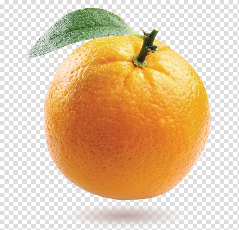 Orange chicken Fruit Mandarin orange Desktop , orange transparent background PNG clipart