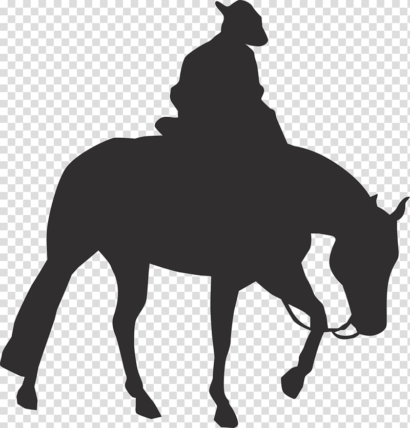 Rocky Mountain Horse Pony graphics Equestrian Western riding, english riding transparent background PNG clipart