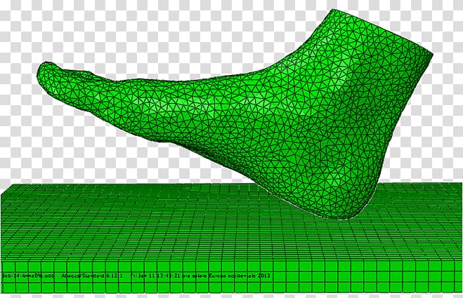 Finite element method Foot Gait analysis OpenSim, others transparent background PNG clipart