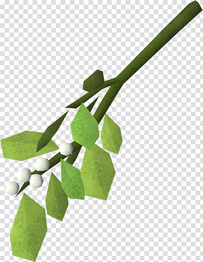 Mistletoe RuneScape Phoradendron tomentosum Plant Kiss, mistletoe transparent background PNG clipart