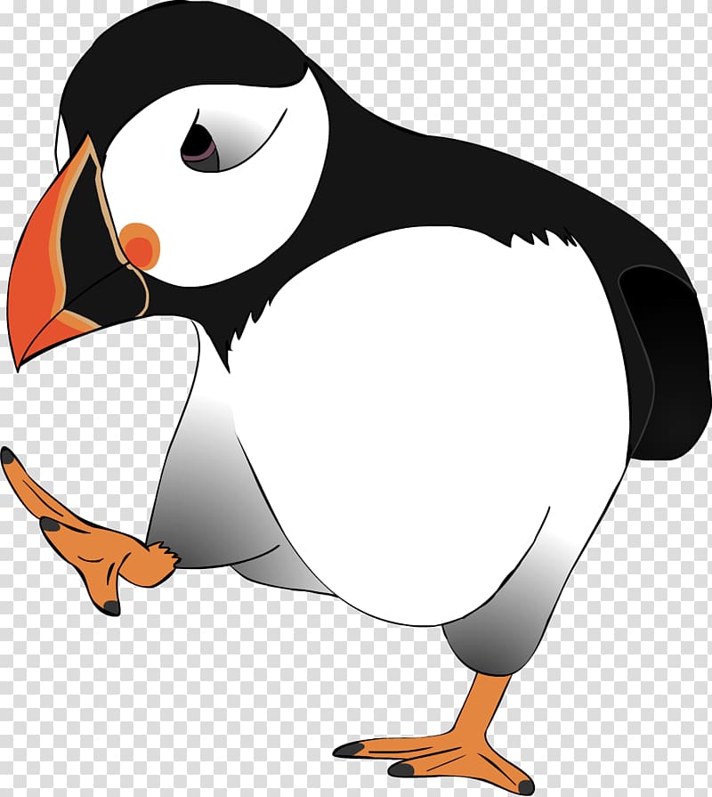 Flightless bird Penguin Beak Puffin, birdie transparent background PNG clipart