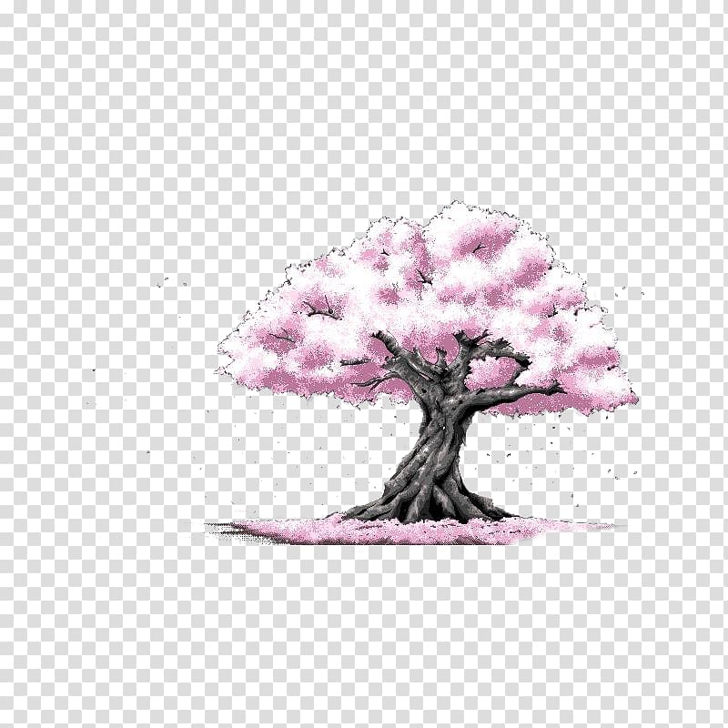 Cherry blossom Tree Cerasus Drawing, Pink cherry tree transparent background PNG clipart