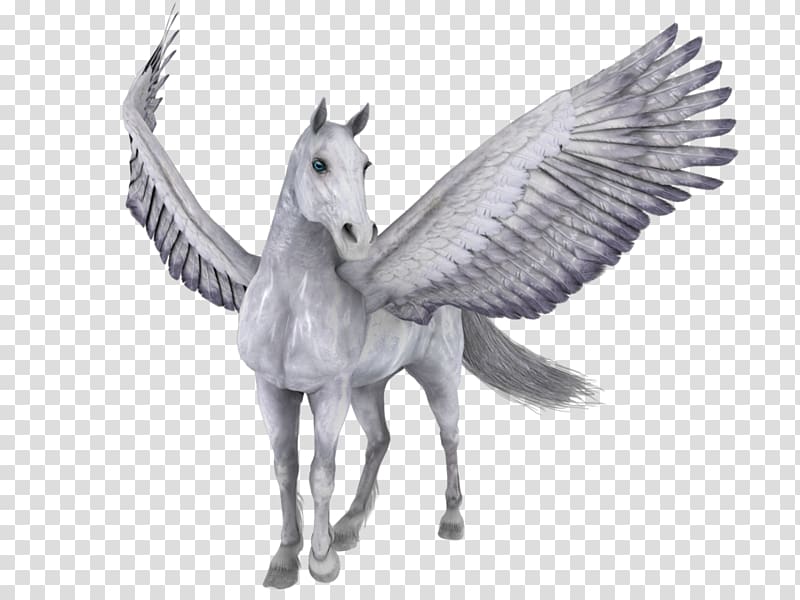 Horse Scape Pegasus , horse transparent background PNG clipart