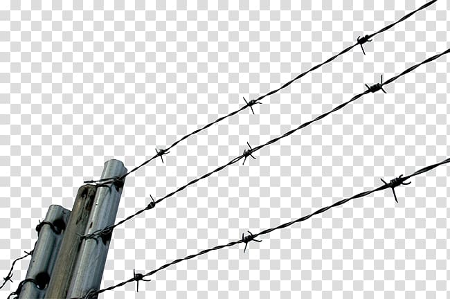 Barbed wire Chain-link fencing , wire transparent background PNG clipart