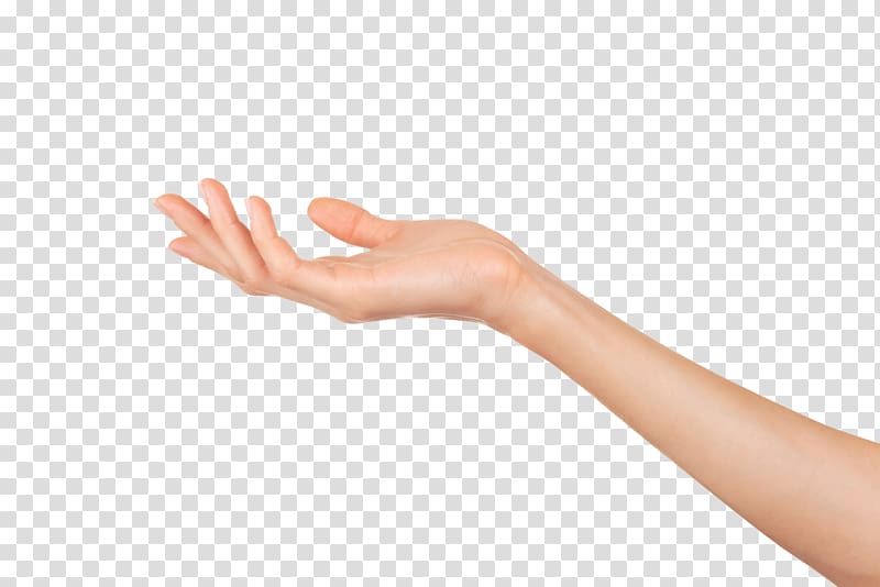 Hand , hand transparent background PNG clipart