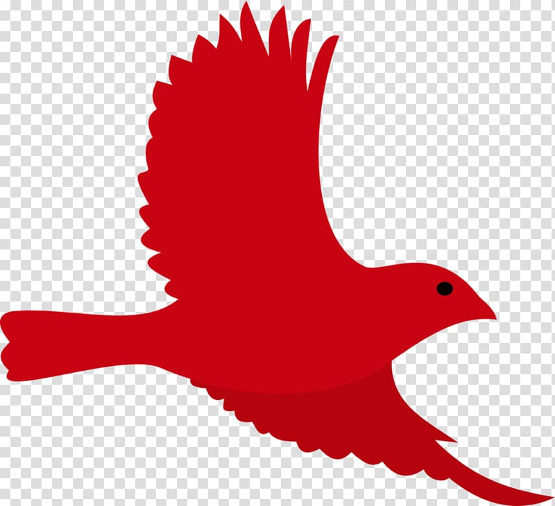 Bird Roblox Beak Owl Chicken, pink bird transparent background PNG clipart