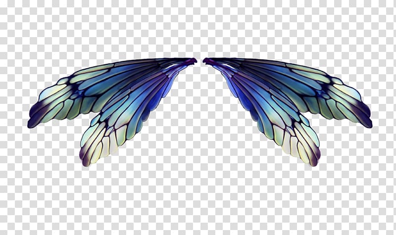 blue and white wings , Fairy Drawing , Creative cute feather,wing transparent background PNG clipart