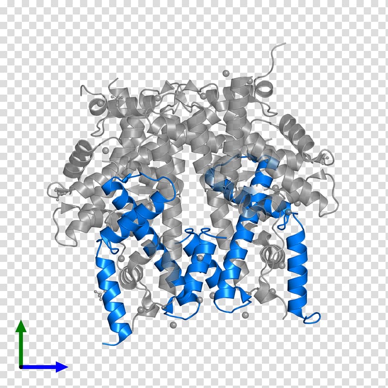 Histone H4 Protein Histone octamer HIST1H4F, others transparent background PNG clipart