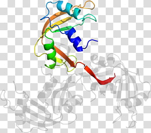 Line Point Organism , line transparent background PNG clipart thumbnail