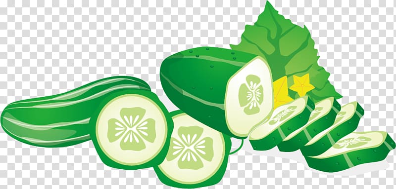 Cucumber Vegetable Euclidean Fruit, Cucumber slices transparent background PNG clipart