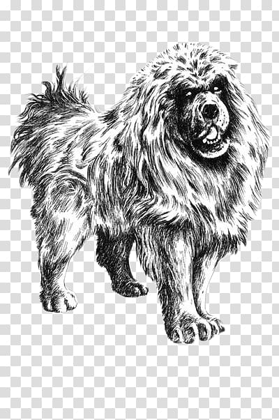 tibetan mastiff black and white stick figure transparent background PNG clipart