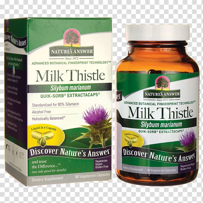 Dietary supplement Chaste tree Female ginseng Herb Capsule, Milk Thistle transparent background PNG clipart