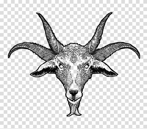 Goat Cattle Horn Skull Wildlife, goat transparent background PNG clipart