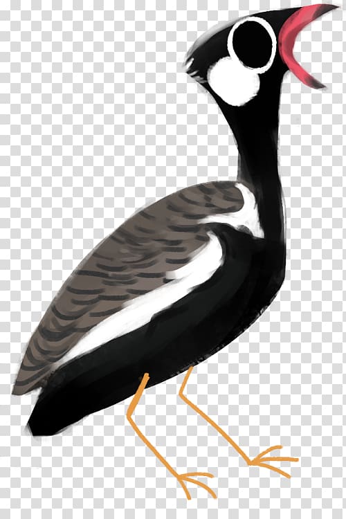 Goose Wader Cygnini Duck Water bird, Demoiselle Crane transparent background PNG clipart