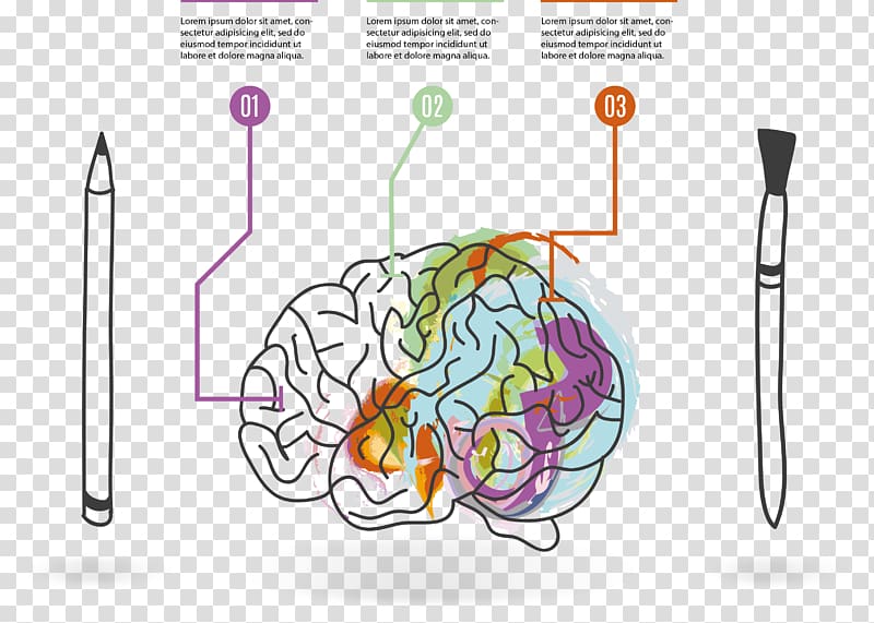 Mind map Drawing, hand-drawn brain transparent background PNG clipart