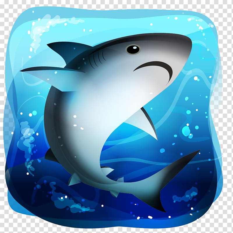 Mexico Killer whale Marine biology Desktop Comisión Nacional para el Conocimiento y Uso de la Biodiversidad, Bull Shark transparent background PNG clipart