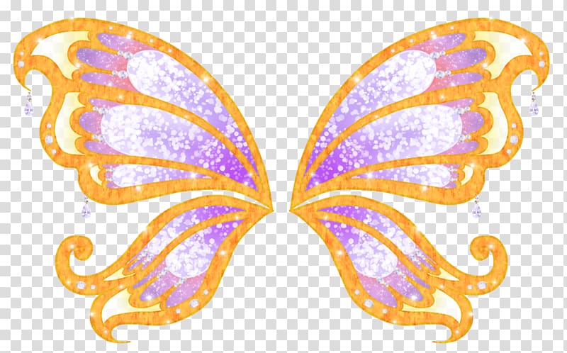 Brush-footed butterflies M. Butterfly Symmetry, butterfly transparent background PNG clipart