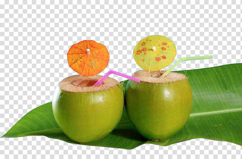 Cocktail Coconut water Coconut milk Caribbean cuisine, Raw coconut water decoration in kind transparent background PNG clipart