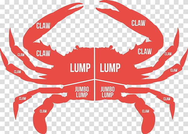 Dungeness crab Crab cake Deviled crab Crab meat, crab transparent background PNG clipart