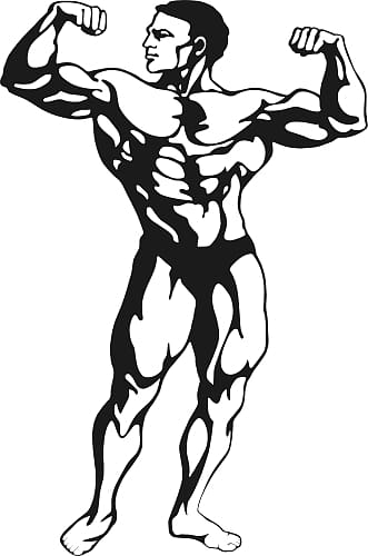 Female bodybuilding Physical fitness , strong man transparent background PNG clipart
