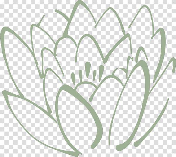 Drawing Sacred Lotus Coloring book Sketch, lotus root transparent background PNG clipart