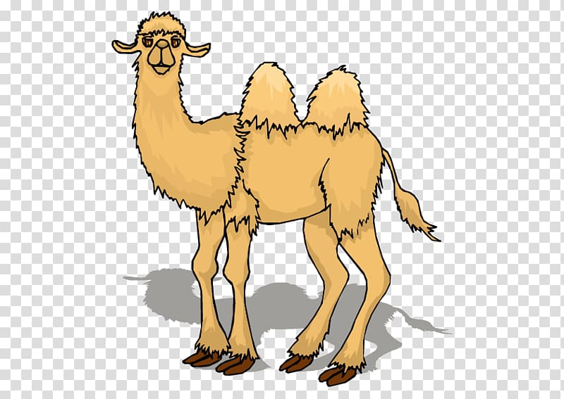 Camel Animation Cartoon , Camel transparent background PNG clipart