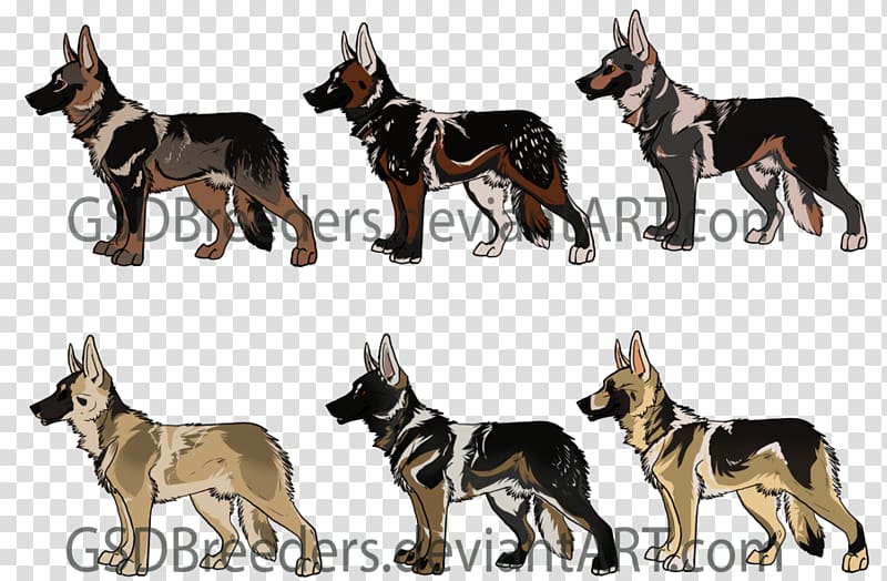 Kunming wolfdog German Shepherd Saarloos wolfdog Czechoslovakian Wolfdog Siberian Husky, puppy transparent background PNG clipart