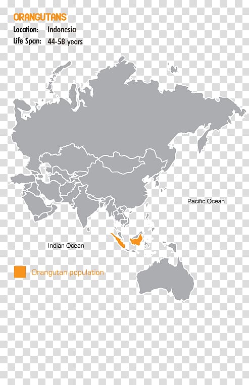Country code United States Netherlands Latin America, Sumatran Orangutan transparent background PNG clipart