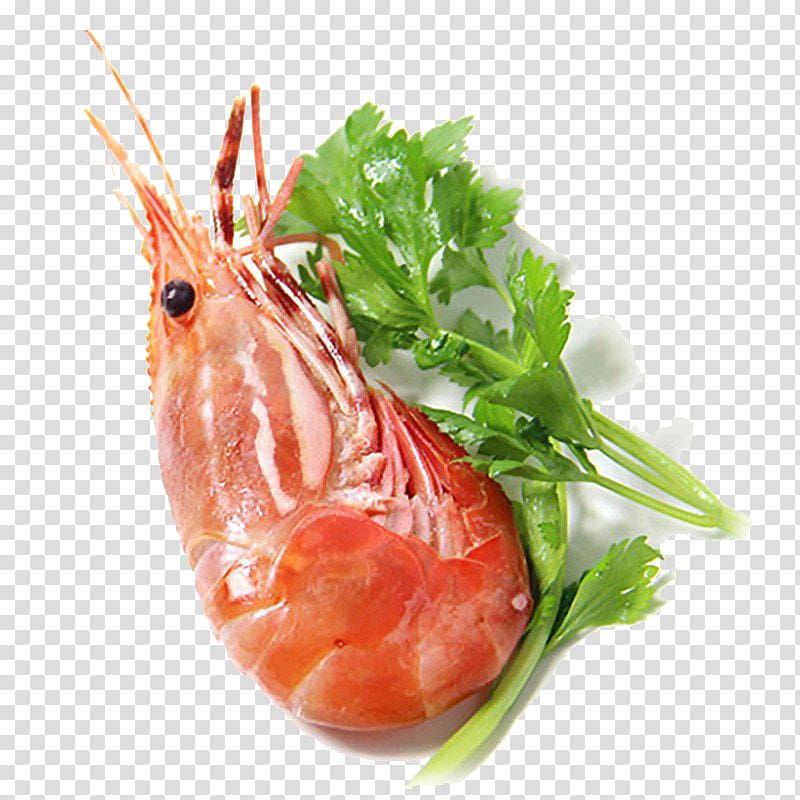 Caridea Shrimp u7261u4e39u867e, Frozen cooked shrimp imports peony transparent background PNG clipart