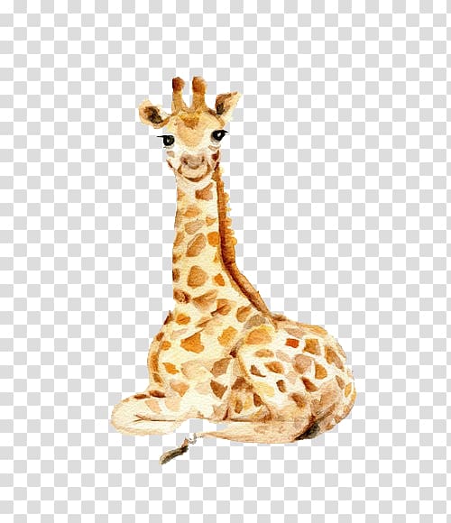 brown and white giraffe , Giraffe Manor Drawing Watercolor painting Animal, giraffe transparent background PNG clipart