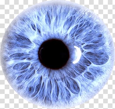 eyeball, Eye Purple transparent background PNG clipart