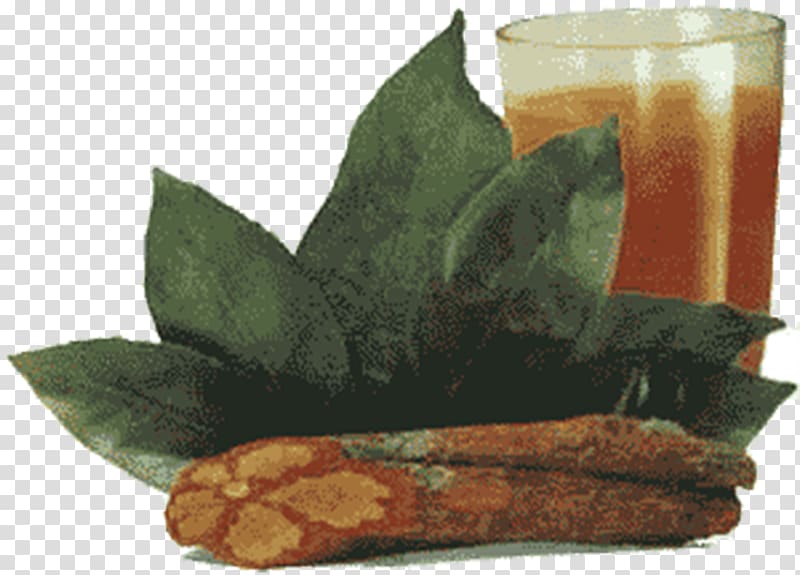 Ayahuasca Santo Daime Tea Caapi Amazon rainforest, tea transparent background PNG clipart