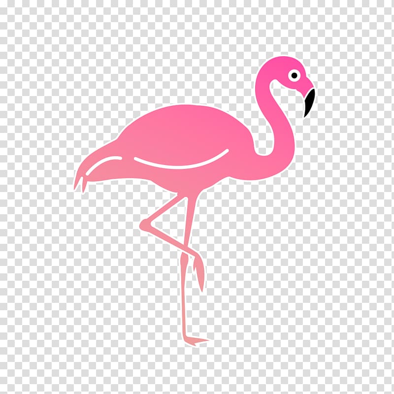 Las canciones que escribí mientras volaba Bird Beak Feather Compact disc, flamingos transparent background PNG clipart