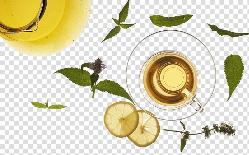 Green tea Iced tea Drink Microsoft PowerPoint, Orange juice glass sheet transparent background PNG clipart