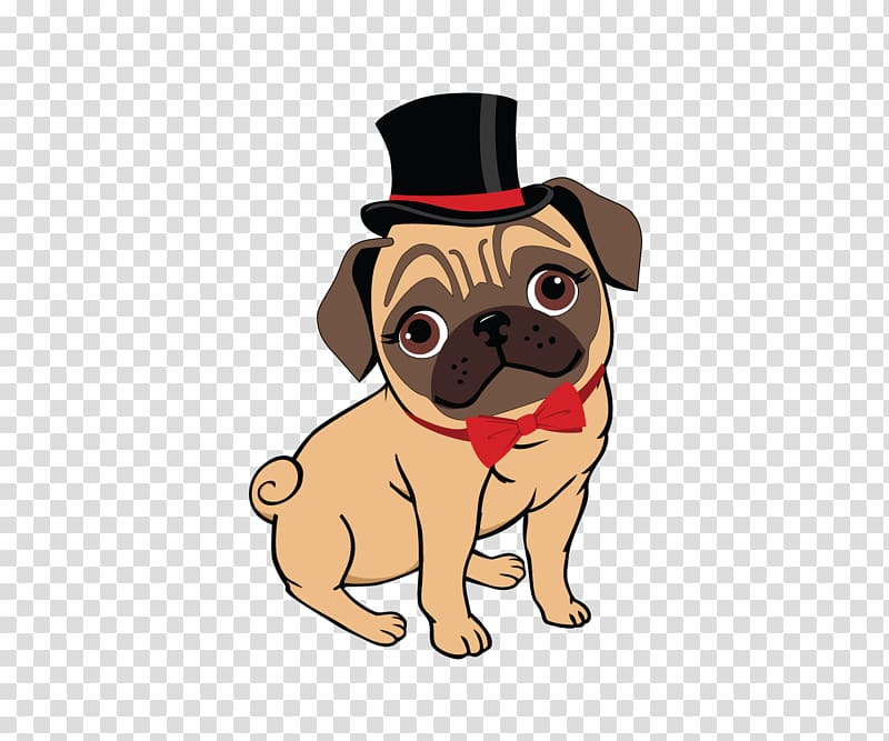 fawn pug wearing top hat illustration, Pug Puppy Canidae Toy dog Logo, pug transparent background PNG clipart