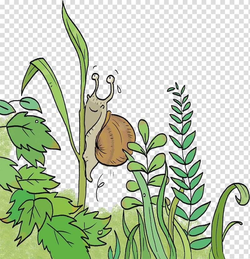Illustration Snail Insect Leaf, escargot sans coquille transparent background PNG clipart