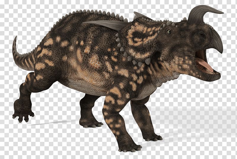 Einiosaurus Brachyceratops Anchiceratops Kosmoceratops Dinosaur, dinosaur transparent background PNG clipart