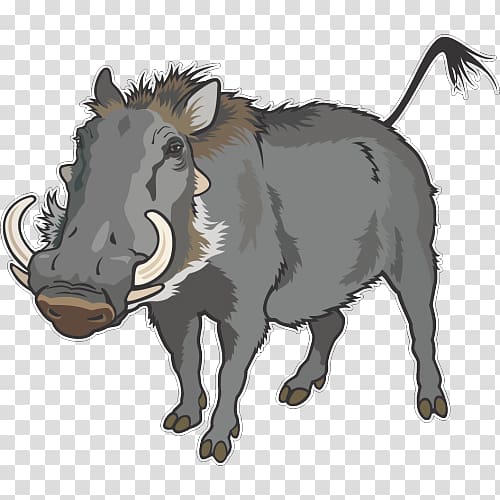 Common warthog Wild boar graphics Illustration, boar transparent background PNG clipart