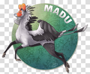 Beak Bird Community, Bird transparent background PNG clipart thumbnail