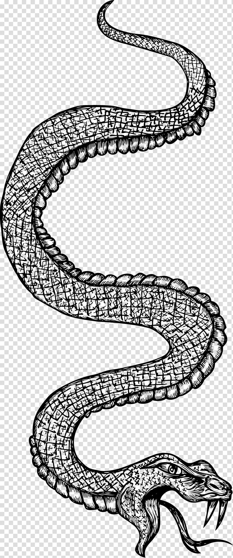 Snake Black and white Line art, snake transparent background PNG clipart