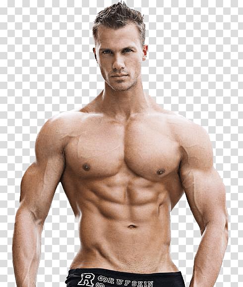 Bodybuilding transparent background PNG clipart