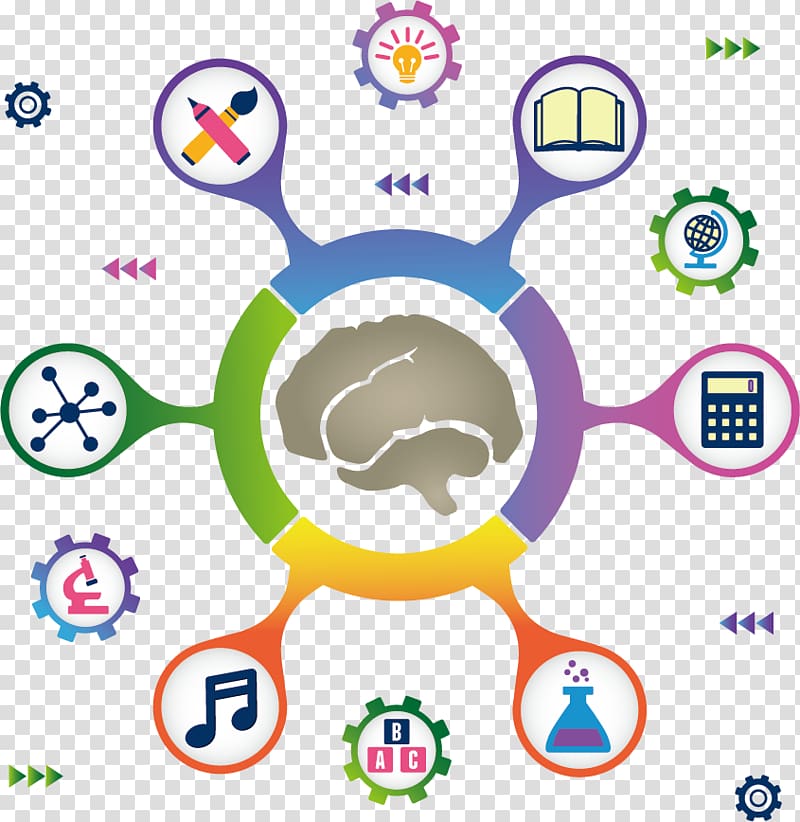 Dietary supplement Memory improvement Brain Health, Business chart transparent background PNG clipart