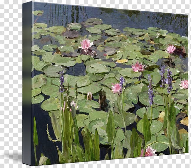 Flower Pond Painting Water Aquatic Plants, water lilies transparent background PNG clipart