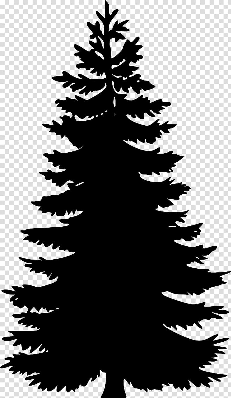 silhouette of Christmas tree, Eastern white pine Tree , tree transparent background PNG clipart