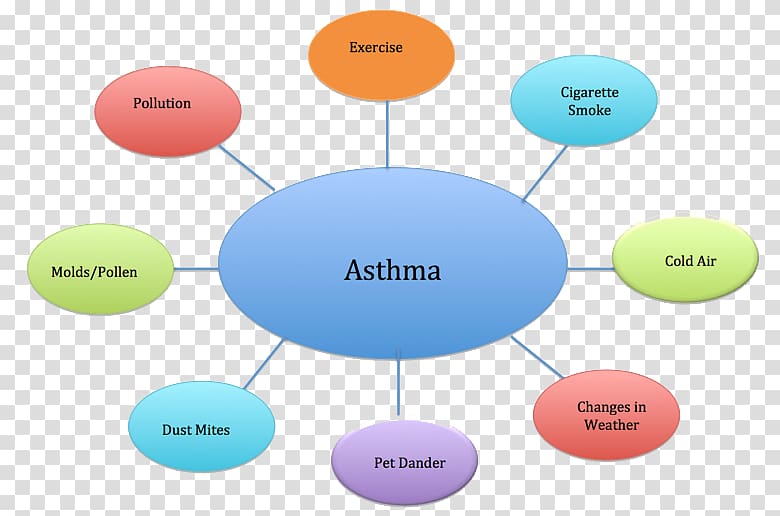 Asthma Symptom Therapy Inflammation Patton Pharmacy, Patton transparent background PNG clipart