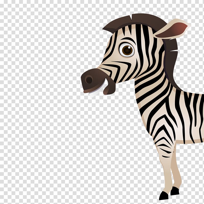 Zebra Icon, zebra transparent background PNG clipart