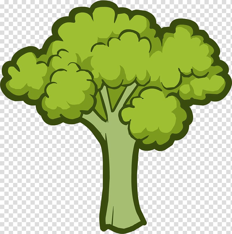 Broccoli Vegetable Lettuce , broccoli transparent background PNG clipart