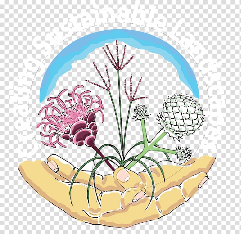 Sustainable landscaping Rain garden Creating Sustainable Landscapes LLC, design transparent background PNG clipart
