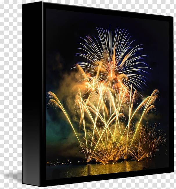 Wisgoon Night Fireworks Organism Desktop , blurred lights transparent background PNG clipart