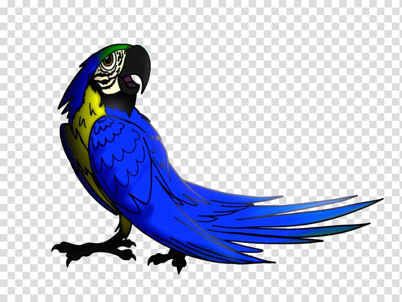 Military macaw Parrot Parakeet Blu, parrot transparent background PNG clipart